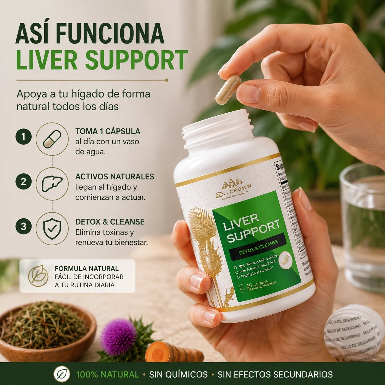 Liver Support — Bienestar que se adapta a tu rutina
